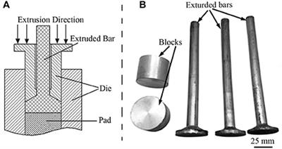 Frontiers | Microstructure Evolution in Mg-Zn-Zr-Gd Biodegradable 